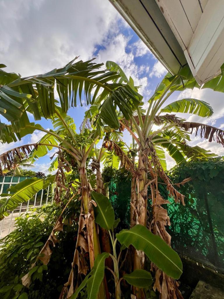 Superbe Villa Bwa Lele Riviere-Salee Esterno foto